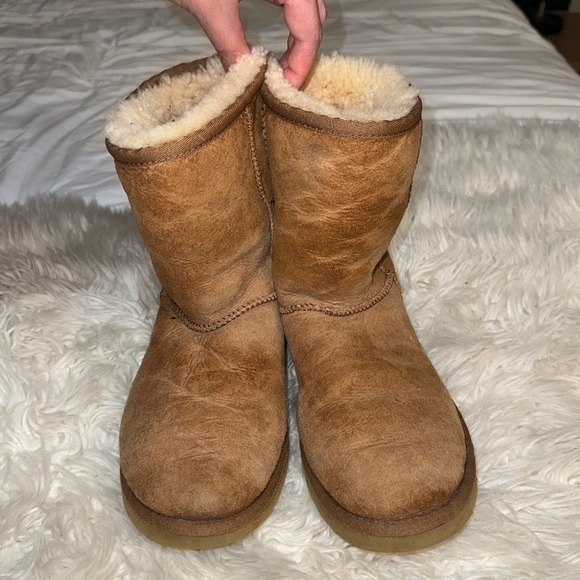UGG | Classic Short Chestnut Suede Sheepskin Fur Lined Boots 5285 - Picture 2 of 14